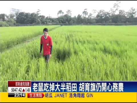 【民視新聞】電子新貴棄高薪 返鄉務農樂此不疲-專訪工工系胡育旗校友